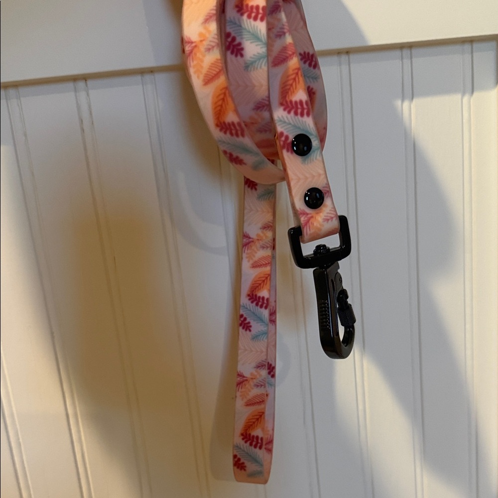 Colorfu Waterproof Dog Leash (new)